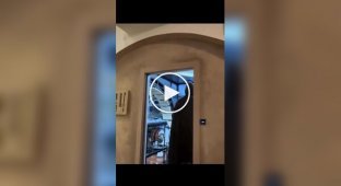 Фанат «Зоряних війн» перетворив свій чоловічий барліг на справжній зореліт