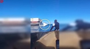 Грузовое судно село на мель, и местные бросились «спасать» товар
