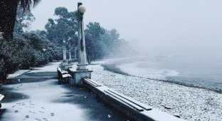 Настоящая зима в Абхазии (5 фото)