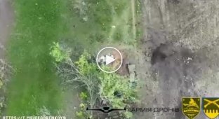 Drones of the 92nd separate mechanized brigade are chasing cars of katsaps and larvae