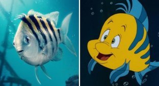Flounder from the new "Mermaid" made people laugh and got into memes (14 photos)