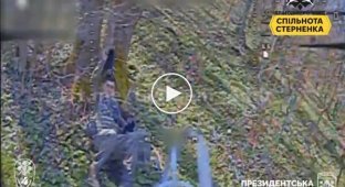 Оператор дрона-камикадзе ликвидировал уставшего оккупанта, который лег отдохнуть на траве под деревом