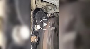 How a starter starts turning an engine