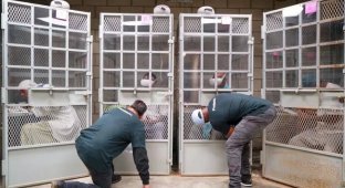 US prisons have started using virtual reality to help people in solitary confinement (4 photos)