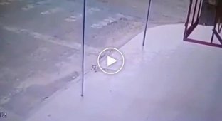 Настоящая магия на мотоцикле
