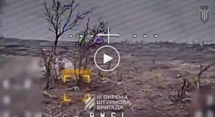 Warriors of the 80th separate air assault brigade of the 3rd air assault battalion destroyed a field ammunition depot from a drone