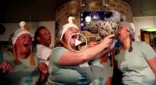 Belgium hosted a championship in imitation of seagull cries