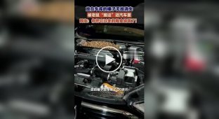 В Китае мужчина нашел под капотом автомобиля 18 кг фундука