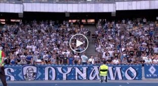Фанаты футбольного клуба Динамо составили остроумный стих-кричалку о покушении на Плотницкого