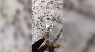 Полярник в Антарктиді залишив носок у снігу, і той перетворився на бумеранг.