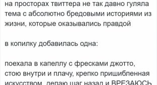 Пользователи рассказали, как они неожиданно повстречали знаменитость (16 фото)