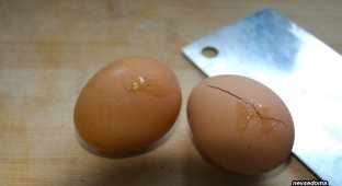 Замороженные Яйца (5 фото)