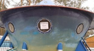 В воронежском парке нашли НЛО с цветным ксероксом (2 фото)