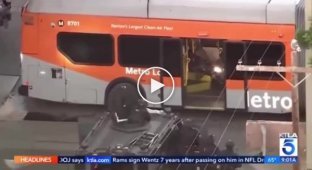 В США робособака помогла задержать вооруженного мужчину