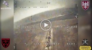 Два дрона-камикадзе уничтожили дорогостоящий российский ЗРК Стрела-10, который охотился за нашими беспилотниками