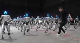 Современные роботы близки к уровню развития десятилетнего ребенка