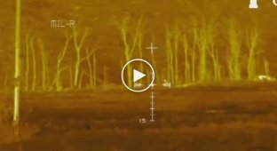 Снайперы 81-й ОАБр ликвидировали трех оккупантов вблизи Белогоровки