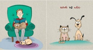 Чем коты отличаются от собак (6 фото)
