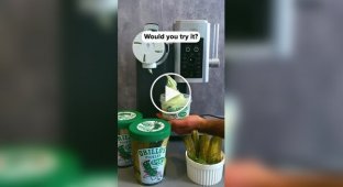 В США делают мороженое со вкусом соленых огурцов
