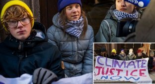 Police disperse Greta Thunberg's protest near parliament (4 photos + 1 video)