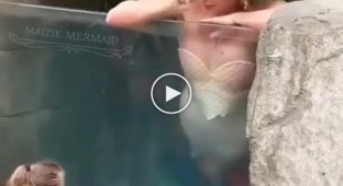 Mermaid entertains young audience