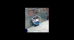 Почему надо следить за своими детьми, даже если они рядом на улочке
