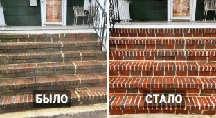 How surfaces transform when cleanliness fans get down to business (18 photos)