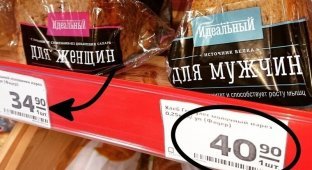 Почему женские вещи стоят дороже мужских? (8 фото)