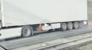 The chicken threw the truck