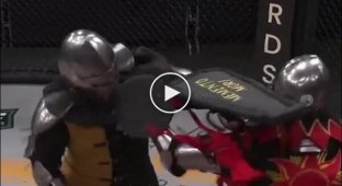 Рыцарские бои в октагоне