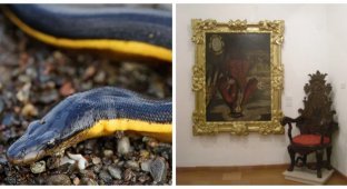 От недовольного  воскресшего до обезболивающих скатов: 8 исторических фактов,  в которые трудно поверить, но они правдивы (9 фото)