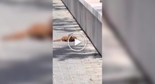 Помог другу как мог