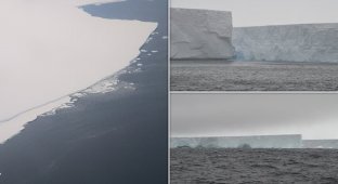 An iceberg the size of London broke off the Antarctic shelf (7 photos + 1 video)