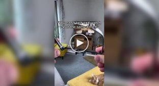 Окуляри, що дозволяють в'язати і дивитися телевізор одночасно