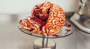 Как сделать на Хэллоуин восхитительно-ужасный торт в виде свежих мозгов (6 фото)