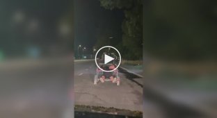 Друг в беде не бросит