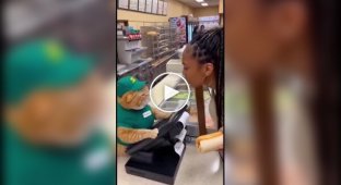 З життя нейрокотів