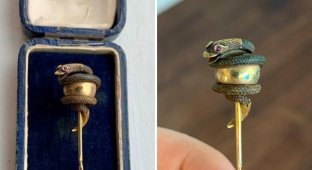 Amazing things that were found not at excavations, but at flea markets (17 photos)