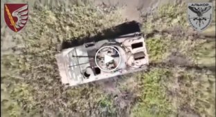 Cutting of the work of a Ukrainian drone near Marinka in the Donetsk region
