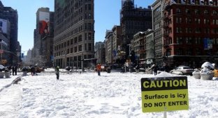 На Нью-Йорк обрушилась снежная буря (60 фото)