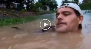 He swam calmly, didn’t bother anyone