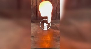 Красивое и удивительное (короткие видео). Выпуск 56