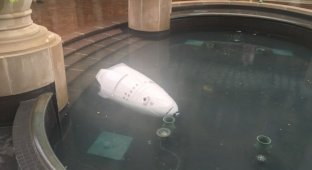 Робот-охранник «утопился» в фонтане торгового центра (4 фото)