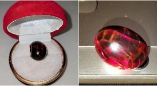 A woman kept a boiled egg for 20 years - and now it looks like a ruby (5 photos)
