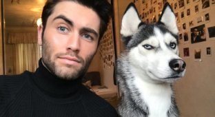 The husky imitated the owner's facial expression very closely (15 photos)