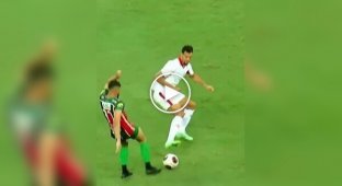 A football player rode on an opposing team player