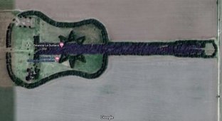 Парк-гитара вырос в память о любви (2 фото)