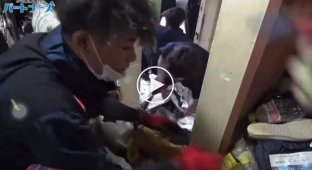 Прибиральники знайшли у заваленій сміттям квартирі стару картоплю фрі, яка виглядала свіжою