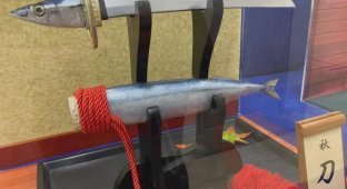 Случаи, когда люди не искали лёгких путей и создавали прям странные штуки (13 фото)