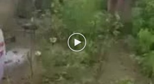 Поспорил, что сможет перепрыгнуть